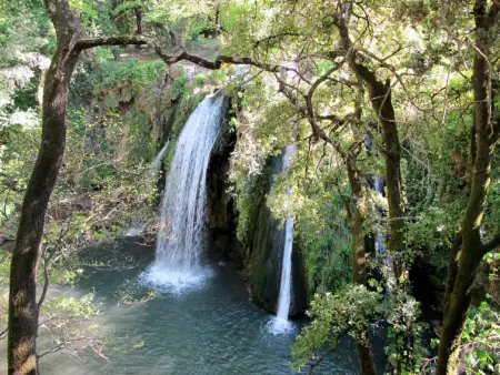 Villa Faro, Maison 8 personnes à Montfort - Photo 31