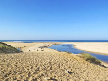 Les Dunes de la Prade, Maison 10 personnes à Moliets - Photo 18