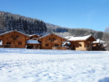 Bois de Champelle, Maison 6 personnes à Morillon - Photo 9