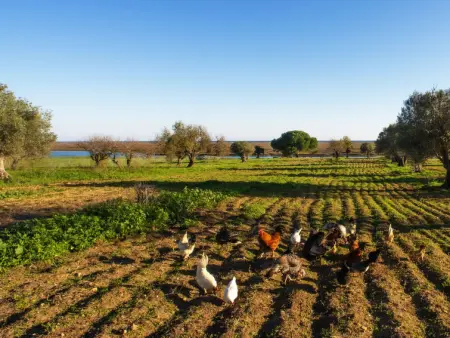 Luz Romana A2, Maison 6 personnes à Tavira - Photo 38