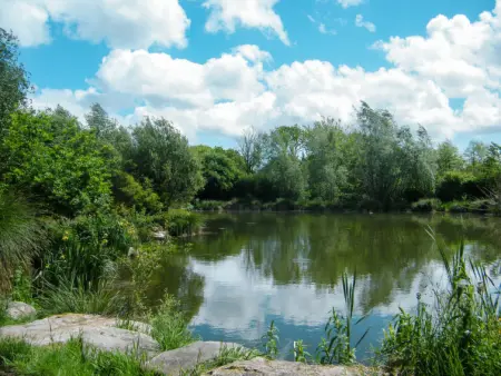 Gîte Triskell, Maison 5 personnes à Ploumilliau - Photo 18