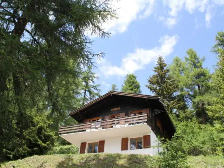 Chalet à Bellwald, Chalet Soldanella (BEL205) - L245334