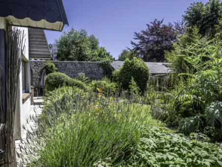 Entre mer et jardin, Maison 4 personnes à St Pierre en Port - Photo 23