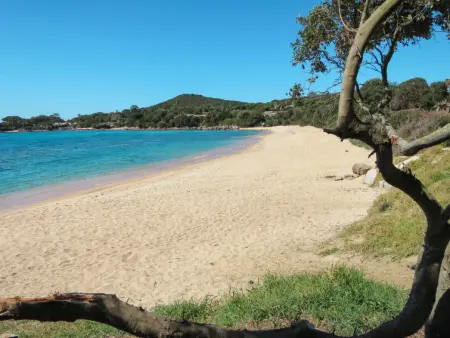 Bruyères 1, Maison 8 personnes à Porticcio - Photo 21