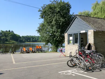 Le Moulin Neuf- 4/6 personnes, Maison 6 personnes à Rochefort en Terre - Photo 22