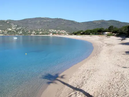 La Pinède, bungalow 4 pers., Maison 4 personnes à Sagone - Photo 21