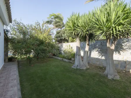 Amado, Maison 4 personnes à Conil de la Frontera - Photo 34