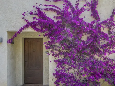 De Manou, Maison 8 personnes à Six Fours - Photo 25