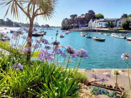 La Marinière Izella, Maison 4 personnes à Sainte Marine   Combrit - Photo 30