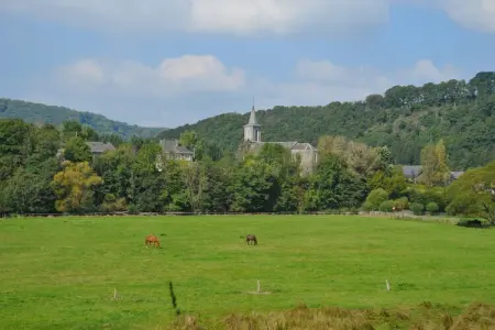 Vakantiepark La Boverie 2, Bungalow en Belgique près des collines vertes - Photo 22