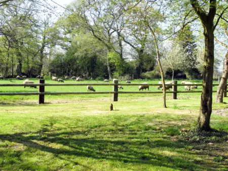 La Bergerie, Maison 4 personnes à Saint Sauveur de Vicomte - Photo 8