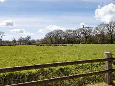 La Bergerie, Maison 4 personnes à Saint Sauveur de Vicomte - Photo 10