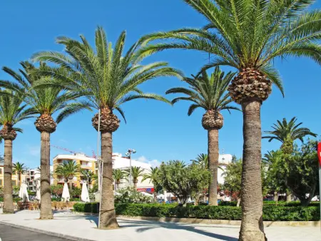 Can Amagat, Maison 10 personnes à Felanitx - Photo 56