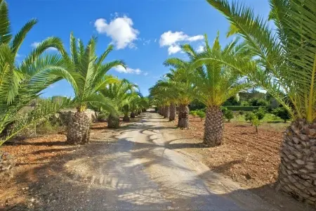 Villa Sa Palmera - Salzinas, Villa près de Cala Tropicana avec piscine - Photo 27