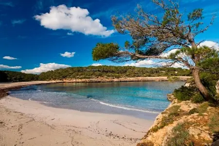 Villa Sa Palmera - Salzinas, Villa près de Cala Tropicana avec piscine - Photo 31
