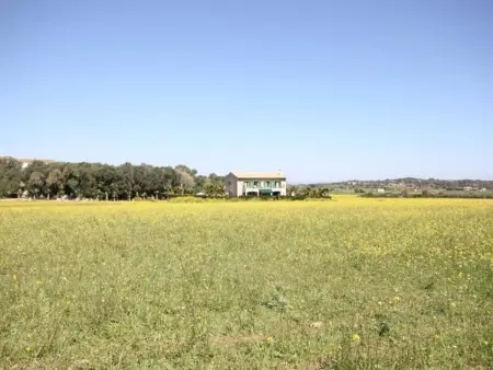 Villa El Palmeral avec Piscine Privée et Grand Jardin à Petra, Majorque - Photo 17