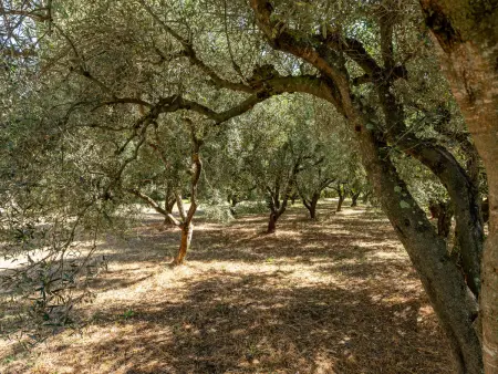 Podere Cavaceppi, Maison 5 personnes à Pitigliano - Photo 34