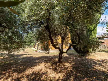 Podere Cavaceppi, Maison 5 personnes à Pitigliano - Photo 39