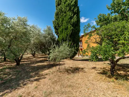 Podere Cavaceppi, Maison 5 personnes à Pitigliano - Photo 40