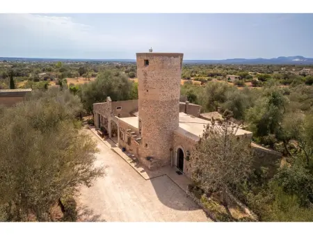 Moli de sa Cova, Maison 9 personnes à Felanitx - Photo 50