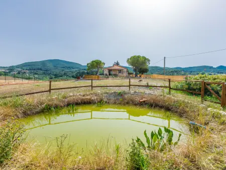 Casaletto Anticaluce, Maison 4 personnes à Pastina - Photo 46