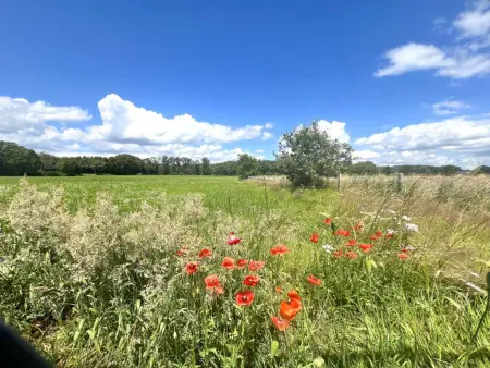 Hestia, Magnifique maison de vacances pour 8 personnes - Photo 34
