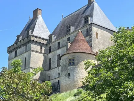 Vigne Grande, Gite authentieke avec piscine privée et vue - Photo 41