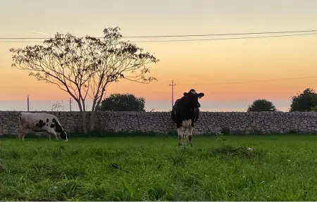 La Cascina di Stefania, Maison 5 personnes à Ragusa - Photo 3