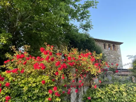 Mas Carreras : Ferme Provençale de Luxe à 20 Min de la Costa Brava, 11 Chambres, Piscine, Barbecue - Photo 18