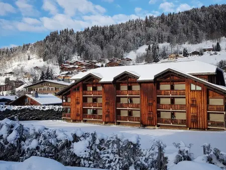 Studio cabine lumineux aux Gets, 4 pers, proche piste et commerces, parking privé - Photo 13