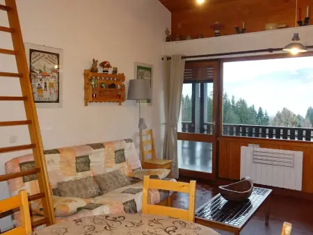 Les Gets : Duplex lumineux 2 pièces, ski-in/out, à 250m du centre, pour 6/8 personnes - Photo 3