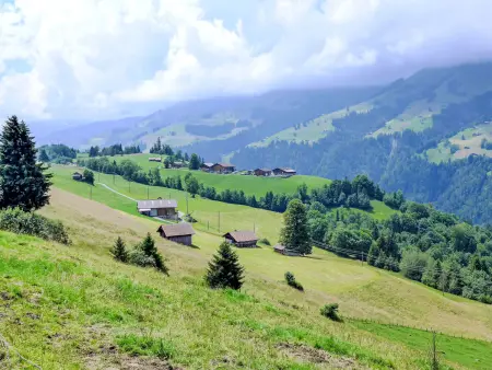 Bühl, Gite 4 personnes à Frutigen - Photo 2