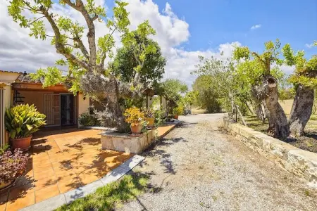 Cladera, Finca à Majorque avec piscine privée - Photo 24