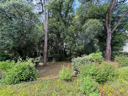 Studio lumineux proche plage, bois, marché - 4 pers, parking, animaux acceptés - Photo 8
