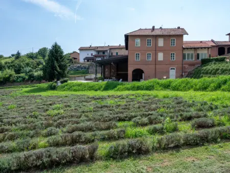 Le Corti di San Rocco, Gite 35 personnes à Cossombrato - Photo 51