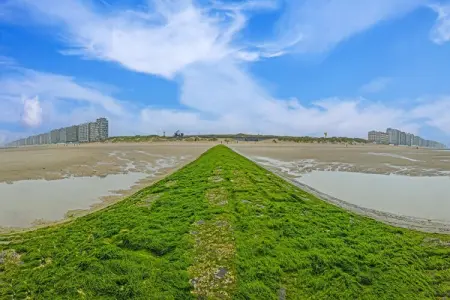 Brazilia, Studio en bord de mer avec vue panoramique - Photo 22