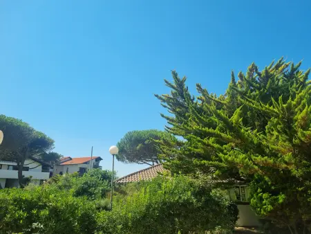 Appartement rénové à Seignosse : Plage et commerces à pied, terrasse et wifi inclus - Photo 20