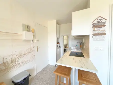 Studio refait en 2024 avec terrasse, climatisation et parking, à 50m de la plage - Photo 13