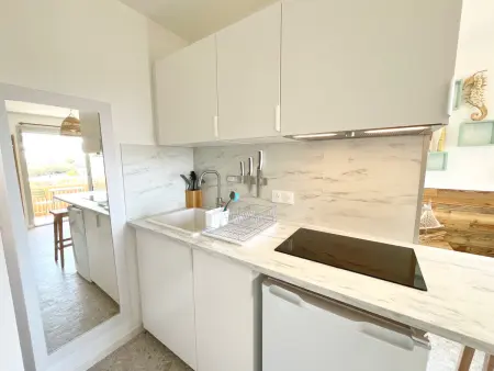 Studio refait en 2024 avec terrasse, climatisation et parking, à 50m de la plage - Photo 14