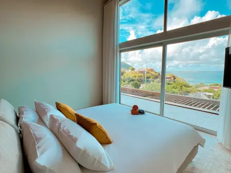 Penthouse 2 Niveaux avec Jacuzzi et Piscine à Anse Marcel - Photo 12