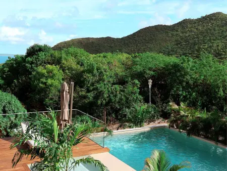 Penthouse 2 Niveaux avec Jacuzzi et Piscine à Anse Marcel - Photo 20