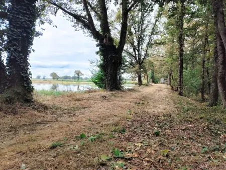 Maison plain-pied à la campagne avec jardin privatif, barbecue, proche Parc de la Brenne et Châteauroux - Photo 25