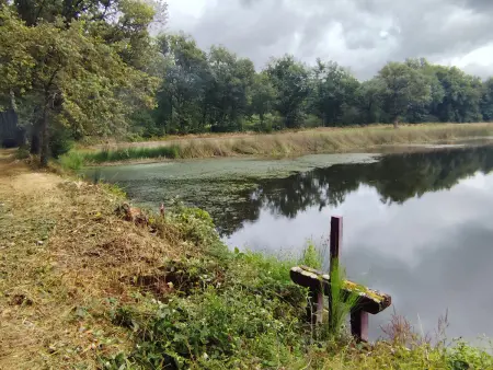 Maison plain-pied à la campagne avec jardin privatif, barbecue, proche Parc de la Brenne et Châteauroux - Photo 30