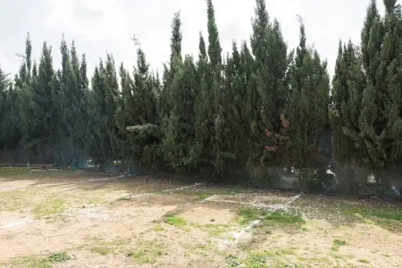 Casa Amelie, Villa à Conil avec piscine privée et BBQ - Photo 53