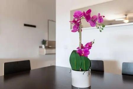 Aguamarina Gamonal, Appartement à San Pedro avec Piscine & Plage - Photo 9