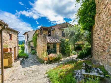 Il Cinghiale, Appartement 6 personnes à Gaiole in Chianti - Photo 1