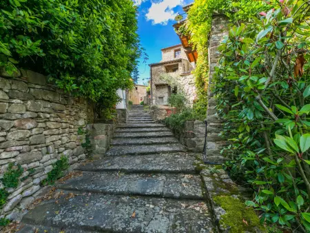 Il Cinghiale, Appartement 6 personnes à Gaiole in Chianti - Photo 35