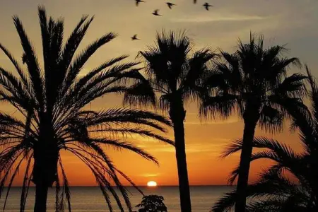Avenida Europa, Maison de vacances à Málaga près de la mer - Photo 24