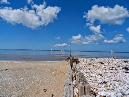 Maison lumineuse proche de la mer avec WiFi et animaux acceptés - Photo 16