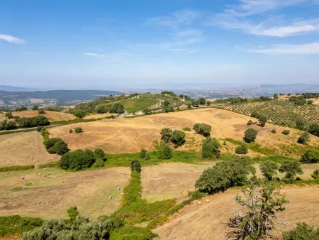 La terrazza sulla Maremma, Maison 6 personnes à Scansano - Photo 6